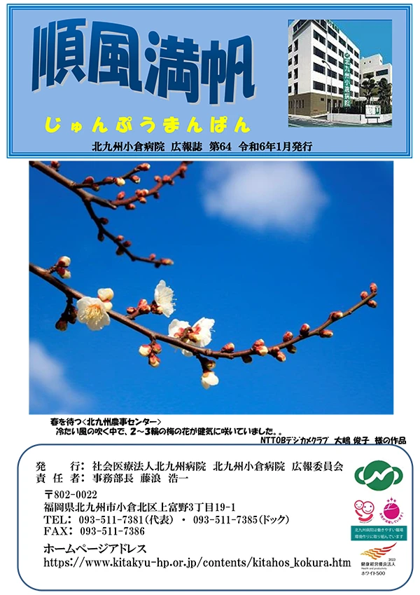 第64号