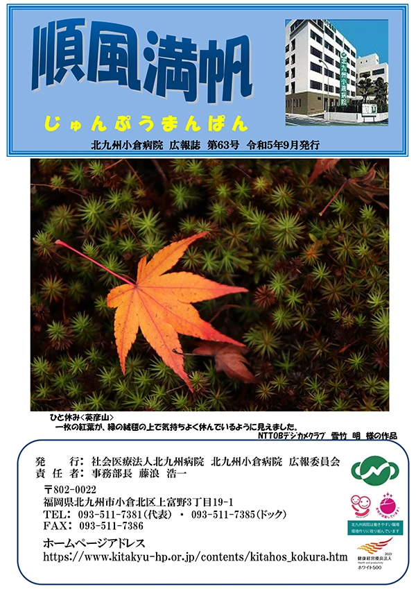 第63号