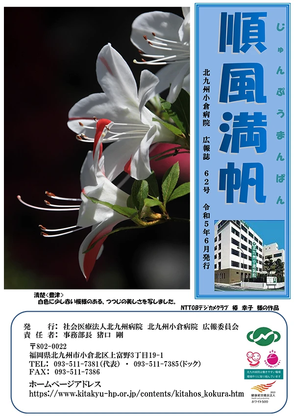 第62号